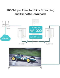 KIT EXTENSOR POWERLINE WIFI TP-LINK AV600 300MBPS (TL-WPA4220)