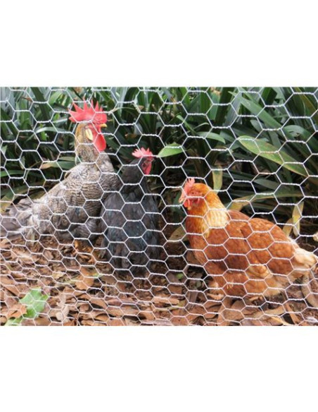 MALLA GALLINERO HEXAGONAL 13X0.7MM 1X50 METROS SUNGARDEN