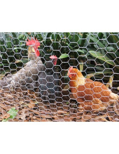 MALLA GALLINERO HEXAGONAL 19X0.7MM 1X50 METROS SUNGARDEN