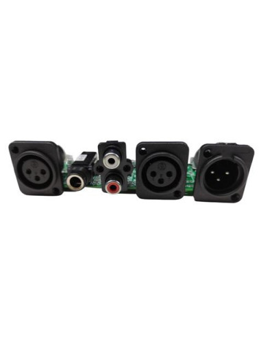 PLACA CONECTORES AUXILIARES ALTAVOZ CS0170