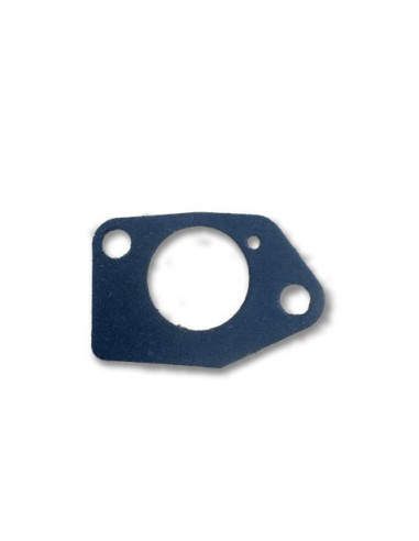PAPEL DEL CARBURADOR PARA GENERADOR BL0462 BLIM