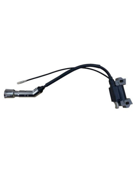 PIEZA DE ENCENDIDO PARA MOTOBOMBA BL0463 BLIM