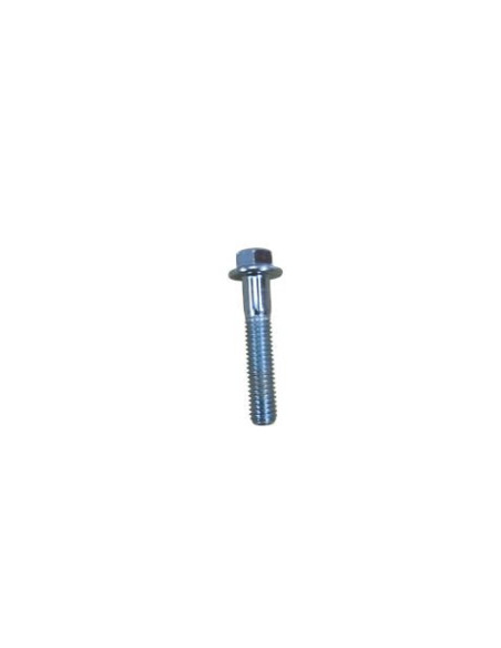 TORNILLO HEXAGONAL PARA GENERADOR BL0462 BLIM