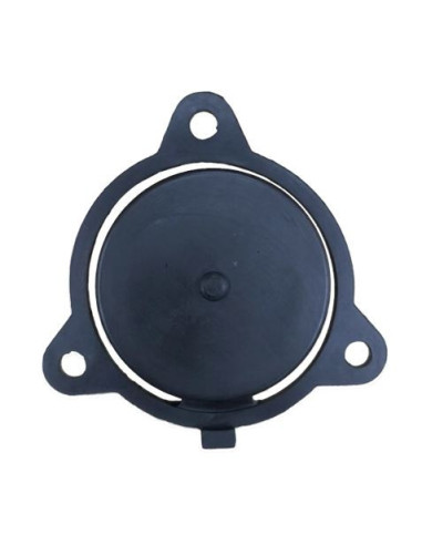 VALVULA DE RETENCION PARA MOTOBOMBA BL0464 BLIM