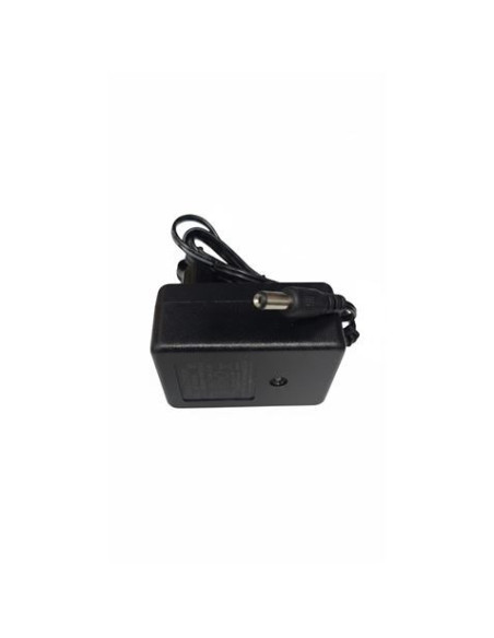 CARGADOR 12V PARA COCHES 33001