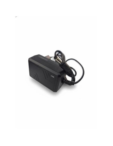 CARGADOR 12V PARA COCHES 33010