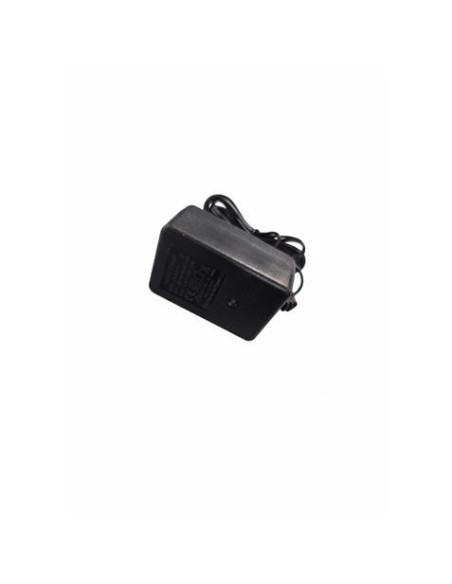 CARGADOR PARA COCHES 33002
