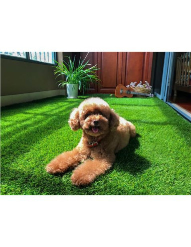 CESPED ARTIFICIAL 2X5 METROS 40MM SERIE ALPINO SUPERIOR SUNGARDEN