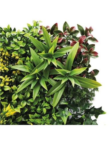 JARDIN VERTICAL 50X50CM SERIE GREENWALL SUNGARDEN