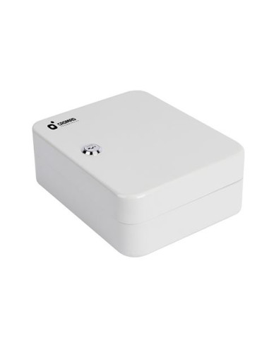 ARMARIO DE SEGURIDAD PARA LLAVES 20X16X8CM 20PCS CROMAD