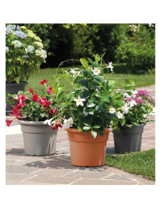 MACETA REDONDA DIAMETRO 40CM TERRACOTA ARTPLAST 2