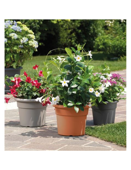 MACETA REDONDA DIAMETRO 45CM TORTORA ARTPLAST