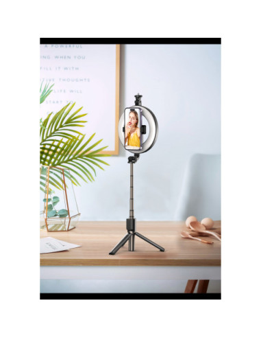 TRIPODE + PALO SELFIE BLUETOOTH + LUZ SS12 XO