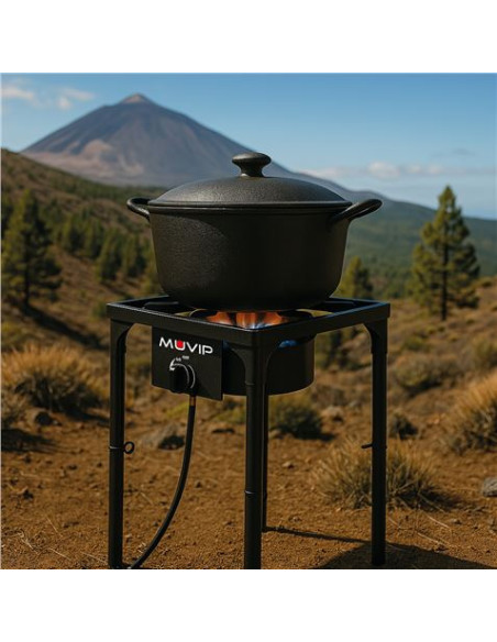 FOGÓN DE GAS ALTA POTENCIA 1 FUEGO 40X40CM AJUSTABLE 3 ALTURAS MUVIP