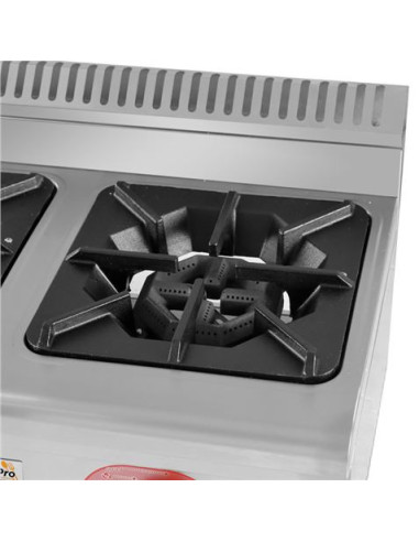 COCINA A GAS PROFESIONAL 2 FUEGOS CHEF PRO