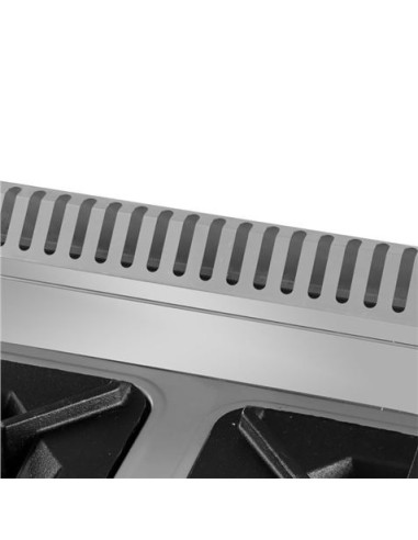 COCINA A GAS PROFESIONAL 2 FUEGOS CHEF PRO