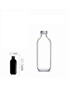 BOTELLA DE CRISTAL ICONIC 0.5 LITROS PASABAHCE