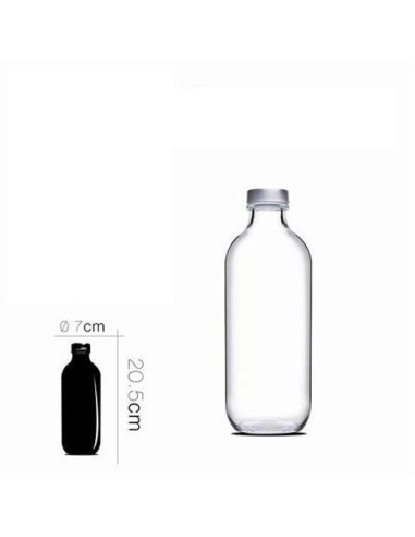 BOTELLA DE CRISTAL ICONIC 0.5 LITROS PASABAHCE
