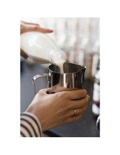 LECHERA PARA HOSTELERIA ACERO INOX 245ML QUTTIN 2