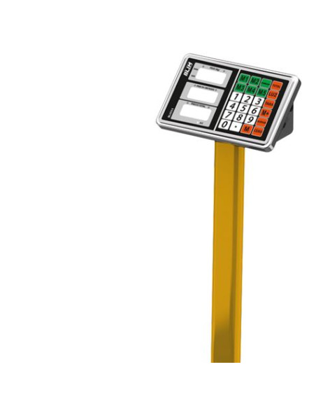 BASCULA INDUSTRIAL CON PLATAFORMA Y DISPLAY LCD 300KG BLIM